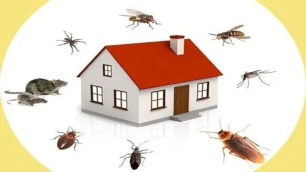 Home for a Pest Control Treatment