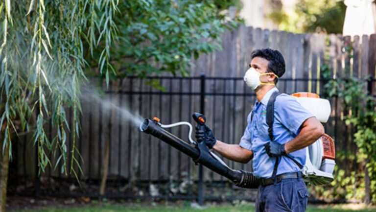 Mosquito Control Services