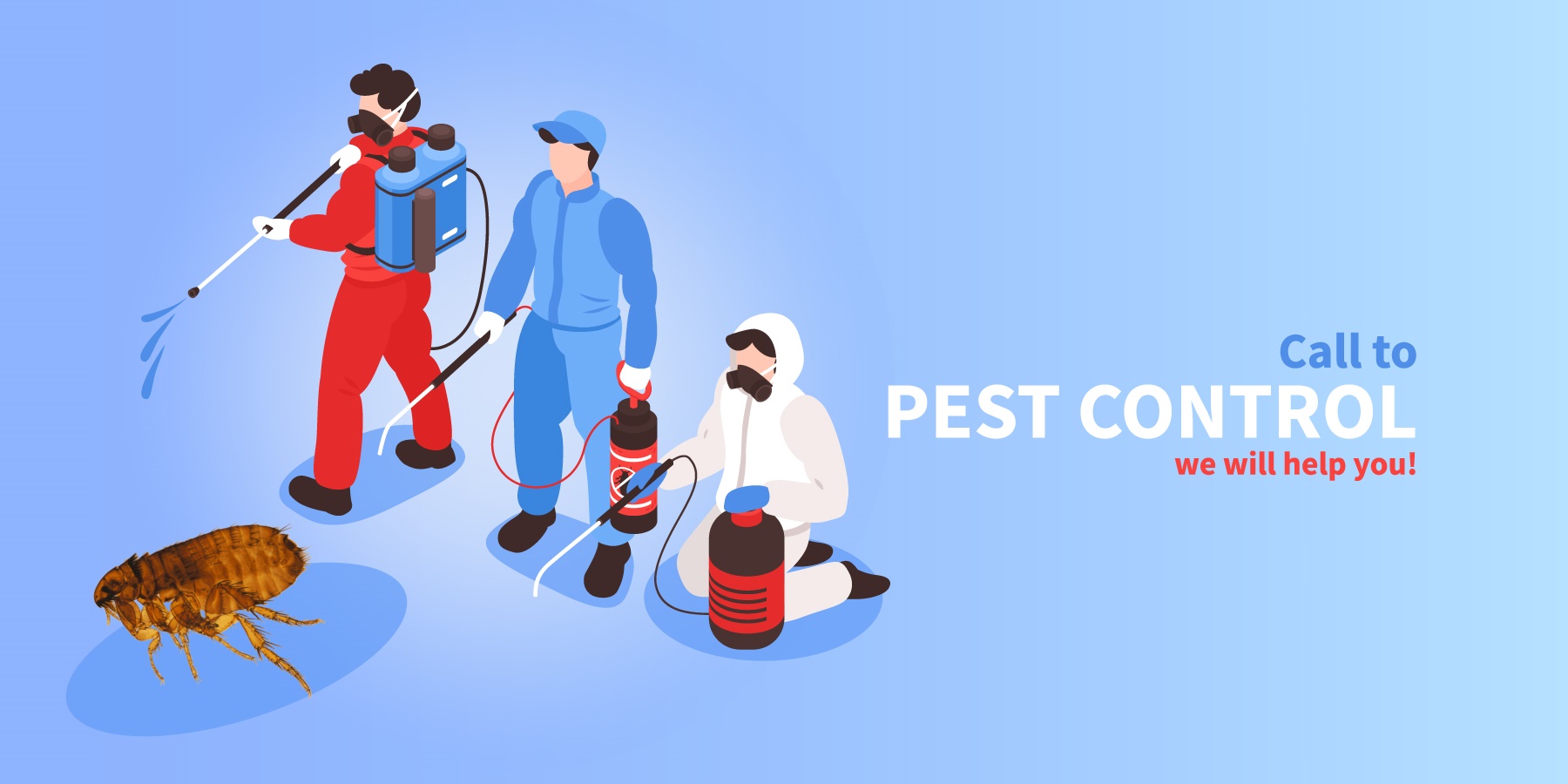 Do Pest Control Services Deal with Fleas?