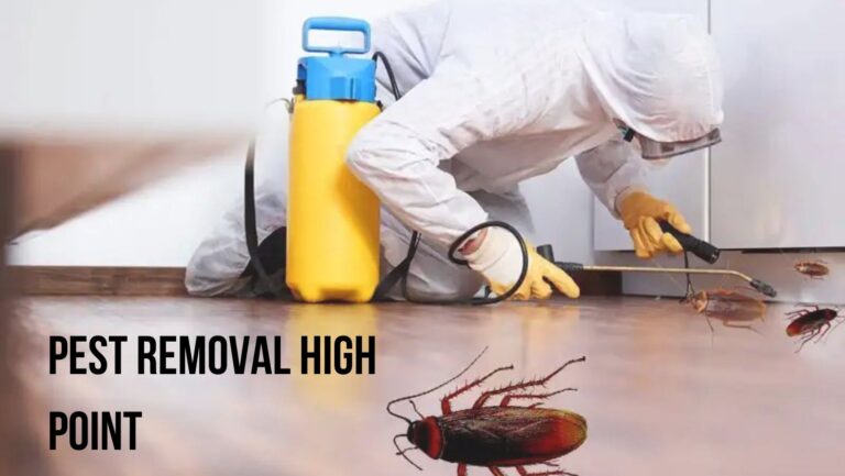 High Point Pest Removal