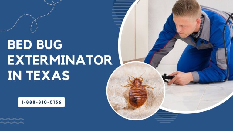 Bed bug Exterminator in Texas
