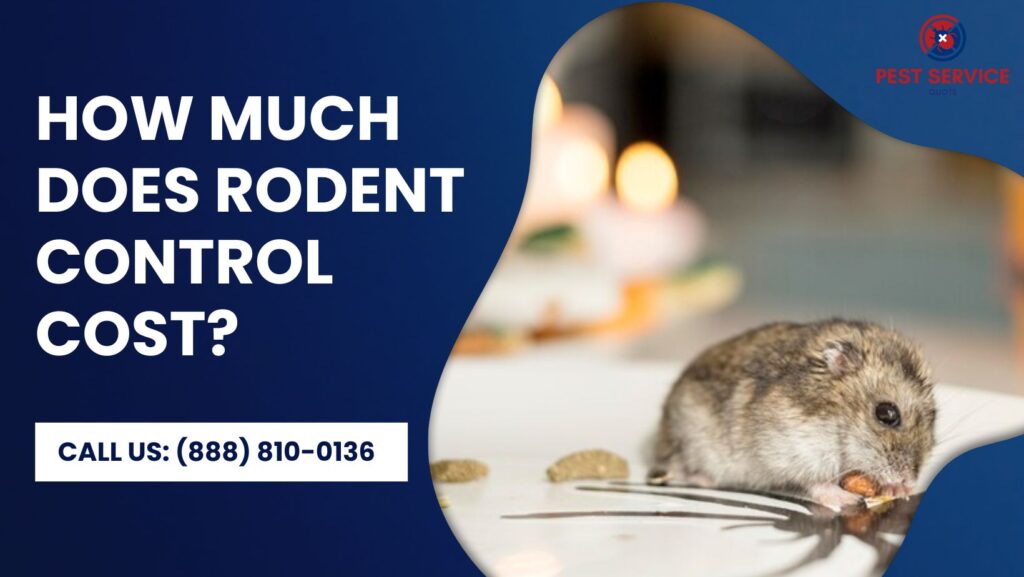 Rodent Control Cost